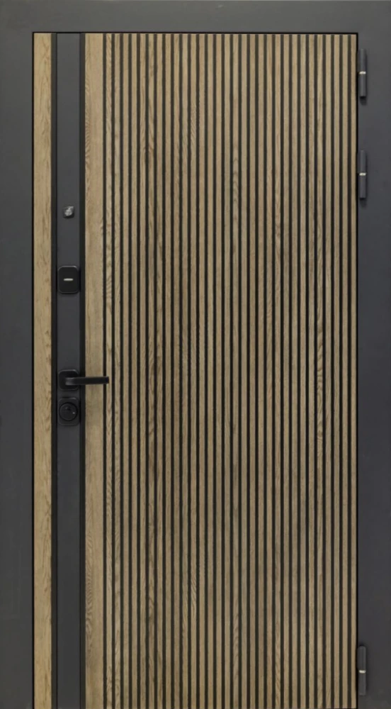 Входная дверь ДвериПРО Rosna ФЛ-256 (10мм, бетон пепельный) DPRO204322 внешняя сторона